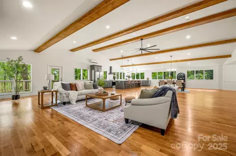 Living - 160 Lasae Ln, Tryon, NC 28782 photo 4 of 5