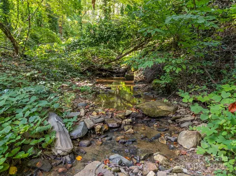 Other - 160 Lasae Ln, Tryon, NC 28782 photo 9 of 13