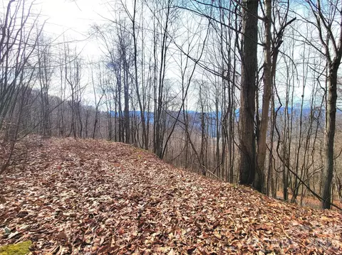75 Rimrock I Rdg #I, Clyde, NC 28721
