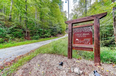 99999 Forest Brook Dr, Black Mountain, NC 28711