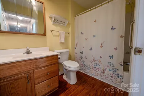 Bath - 565 Overlook Dr, Spruce Pine, NC 28777 photo 3 of 3