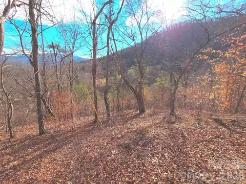 50 Feather 50 Ln #50, Waynesville, NC 28786