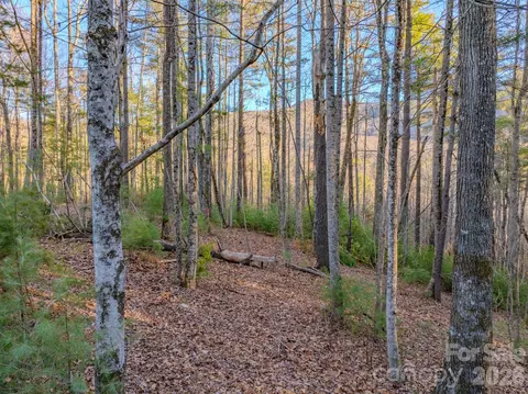 Settlers Ridge Road, Hendersonville, NC 28739