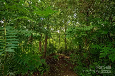 Line Drive, Forest City, NC 28043