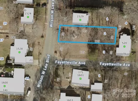 Wilson Lee Boulevard, Statesville, NC 28677
