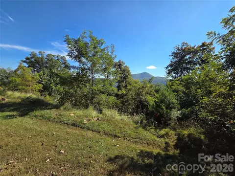 1505 Summit View 20 Dr #20, Canton, NC 28716
