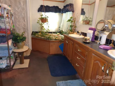 Bath - 89 Blue Mountain Rd, Fairview, NC 28730 photo 1 of 2