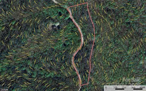 229 Deer Run #229, Purlear, NC 28665 photo 12