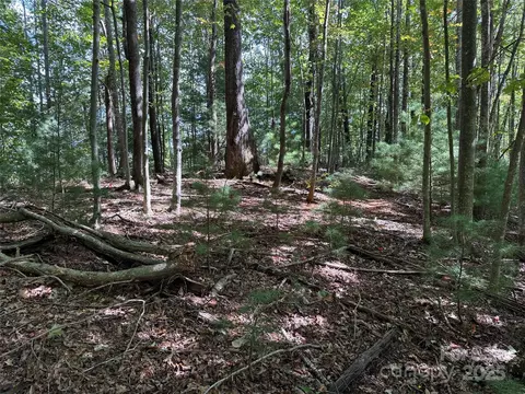 229 Deer Run #229, Purlear, NC 28665 photo 4