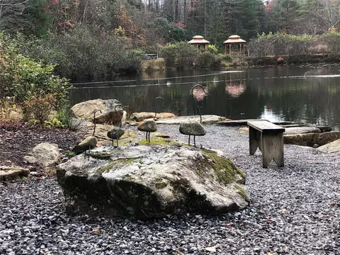 229 Deer Run #229, Purlear, NC 28665 photo 28