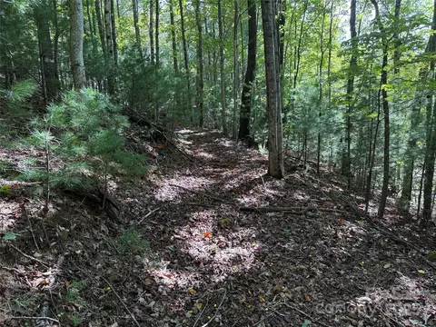 229 Deer Run #229, Purlear, NC 28665 photo 10