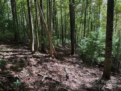 229 Deer Run #229, Purlear, NC 28665 photo 7