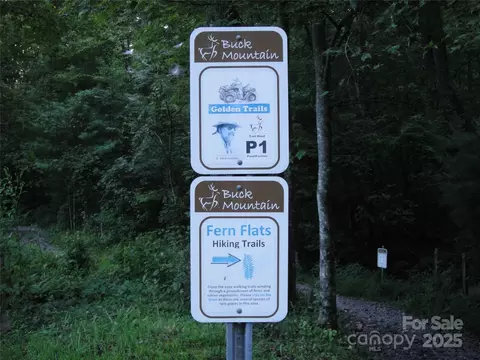 229 Deer Run #229, Purlear, NC 28665 photo 25