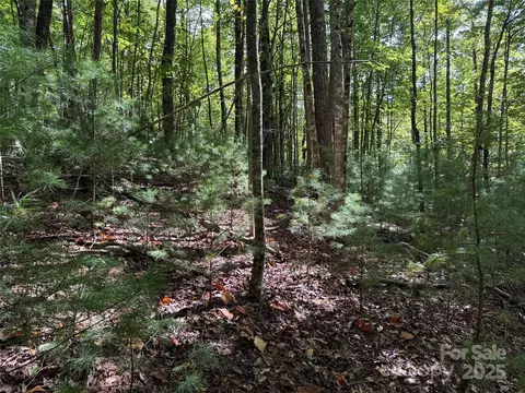 229 Deer Run #229, Purlear, NC 28665 photo 9