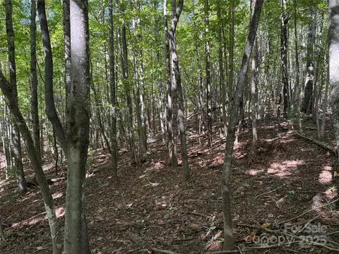 229 Deer Run #229, Purlear, NC 28665 photo 5