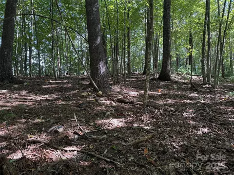 229 Deer Run #229, Purlear, NC 28665 photo 2