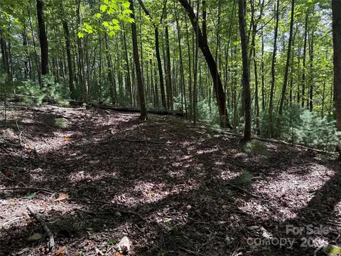 229 Deer Run #229, Purlear, NC 28665 photo 6