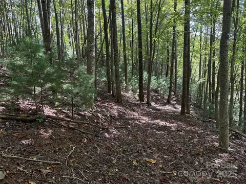 229 Deer Run #229, Purlear, NC 28665 photo 8