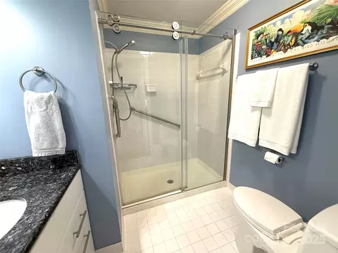 Bath - 930 Jetton 20 St #20, Davidson, NC 28036 photo 4 of 6