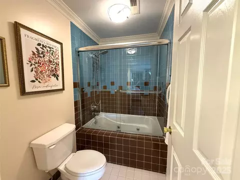 Bath - 930 Jetton 20 St #20, Davidson, NC 28036 photo 1 of 6