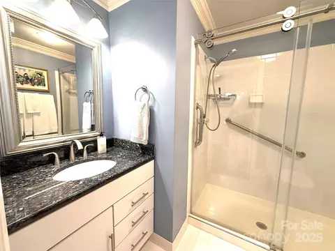 Bath - 930 Jetton 20 St #20, Davidson, NC 28036 photo 6 of 6