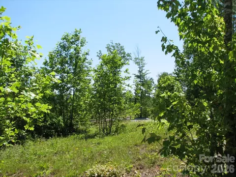 0000 Double Eagle 25 Dr #25, Nebo, NC 28761 photo 14