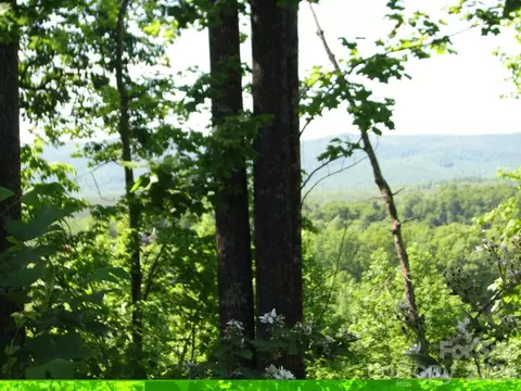 0000 Double Eagle 25 Dr #25, Nebo, NC 28761 photo 35