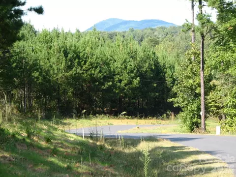 0000 Double Eagle 25 Dr #25, Nebo, NC 28761 photo 7