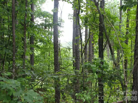 0000 Double Eagle 25 Dr #25, Nebo, NC 28761 photo 15