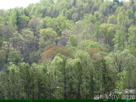 0000 Double Eagle 25 Dr #25, Nebo, NC 28761 photo 32