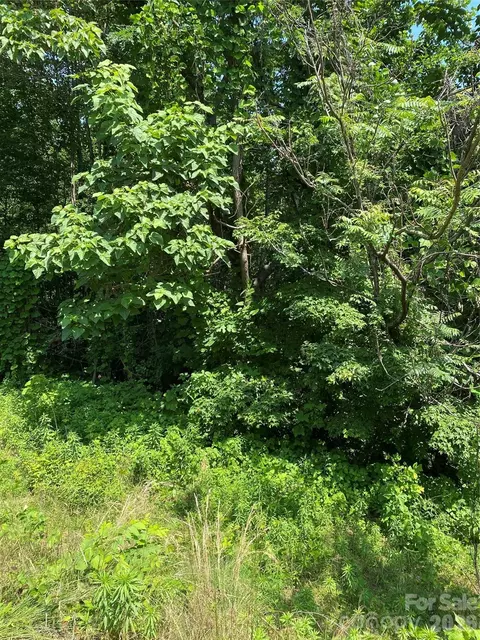 0000 Double Eagle 25 Dr #25, Nebo, NC 28761 photo 26