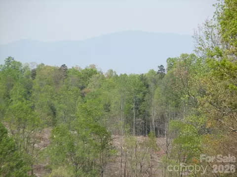 0000 Double Eagle 25 Dr #25, Nebo, NC 28761 photo 34