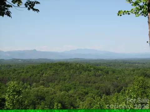 0000 Double Eagle 25 Dr #25, Nebo, NC 28761 photo 6
