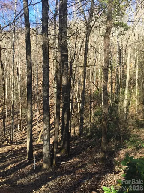 0000 Double Eagle 25 Dr #25, Nebo, NC 28761 photo 21