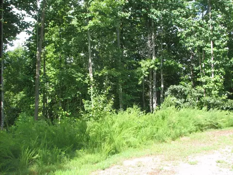 0000 Double Eagle 25 Dr #25, Nebo, NC 28761 photo 8