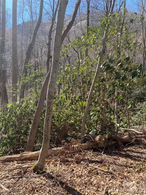 0000 Double Eagle 25 Dr #25, Nebo, NC 28761 photo 12