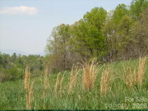 0000 Double Eagle 25 Dr #25, Nebo, NC 28761 photo 33
