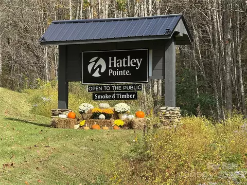 15 Ridge Top Loop, Mars Hill, NC 28754 photo 8