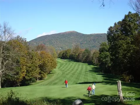 15 Ridge Top Loop, Mars Hill, NC 28754 photo 10