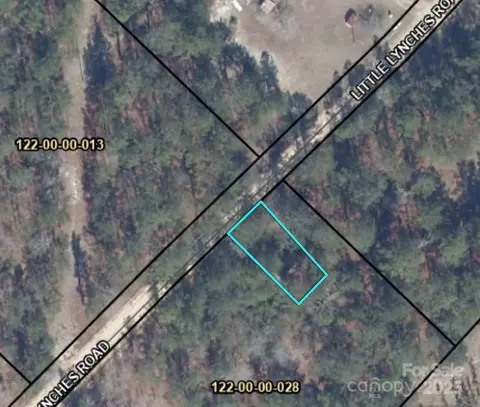2011 Little Lynches Rd, Bethune, SC 29009