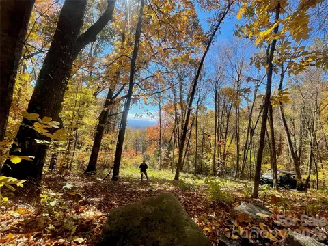 00000 New Sprout 1 Ln #1, Hendersonville, NC 28792