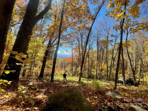 00000 New Sprout 1 Ln #1, Hendersonville, NC 28792