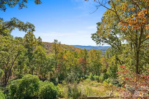 310 Log Gap Rd, Fairview, NC 28730 photo 46