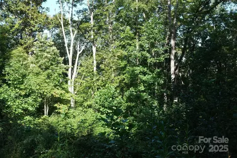 Caperton Point 12 Road #12, Swannanoa, NC 28778