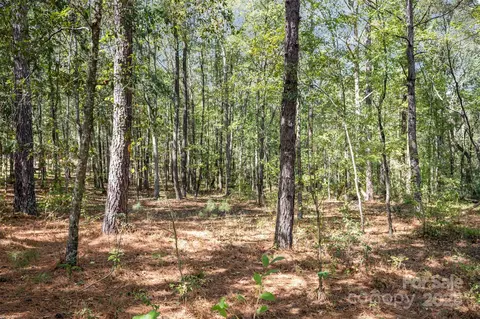 00 Will Evans Lot 2 B Rd #LOT 2 B, Jefferson, SC 29718 photo 8