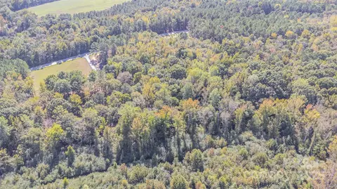 00 Will Evans Lot 2 B Rd #LOT 2 B, Jefferson, SC 29718 photo 13