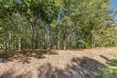 00 Will Evans Lot 2 B Rd #LOT 2 B, Jefferson, SC 29718 photo 9