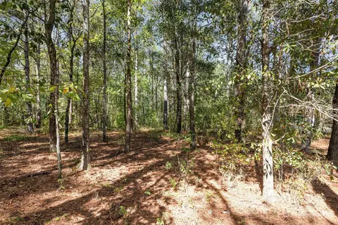 00 Will Evans Lot 2 B Rd #LOT 2 B, Jefferson, SC 29718 photo 7