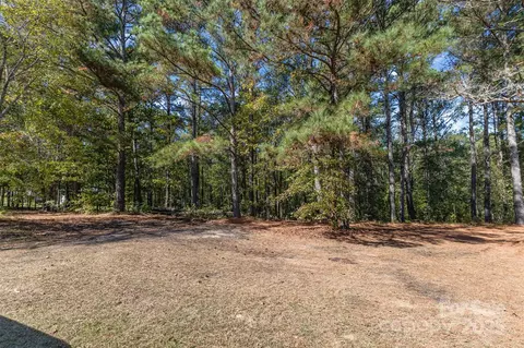 00 Will Evans Lot 2 B Rd #LOT 2 B, Jefferson, SC 29718 photo 10