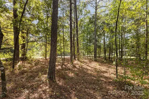 00 Will Evans Lot 2 B Rd #LOT 2 B, Jefferson, SC 29718 photo 6